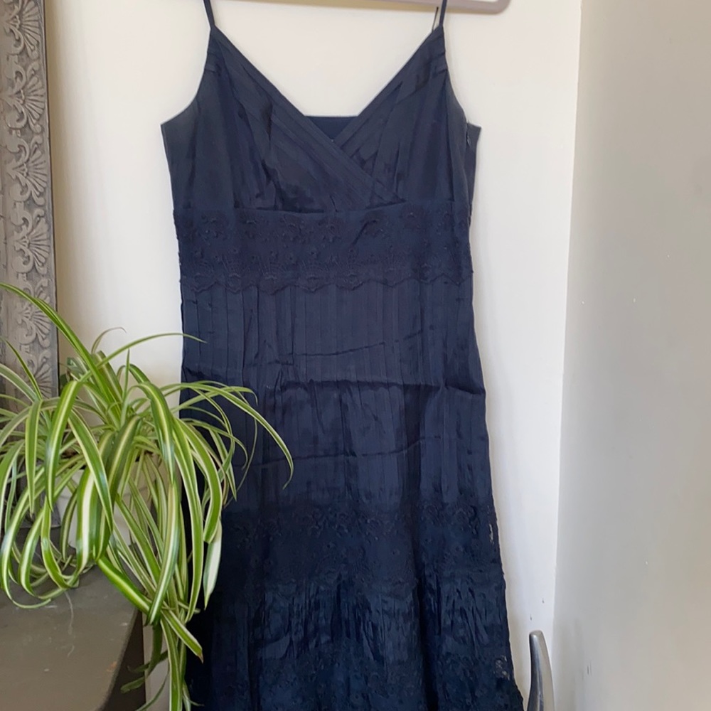 Ann Taylor Silk and Lace Dress